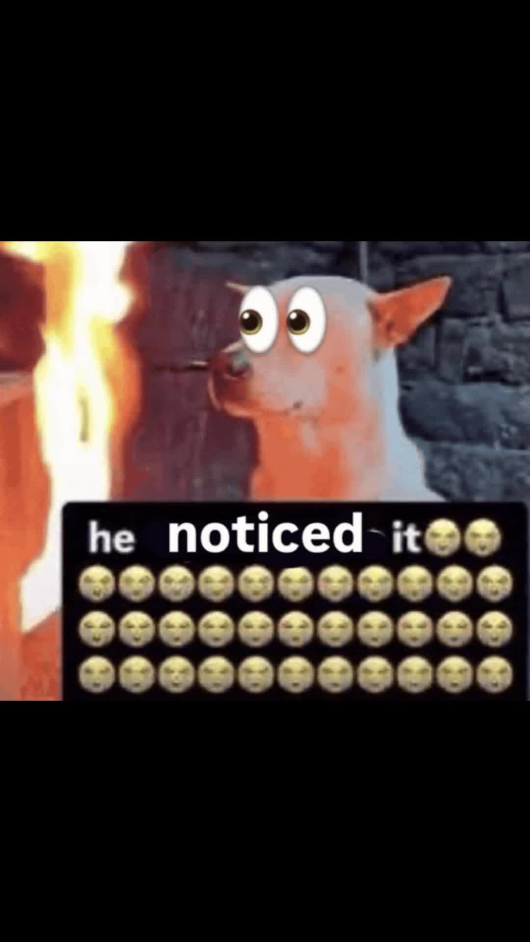 @chxxriomr