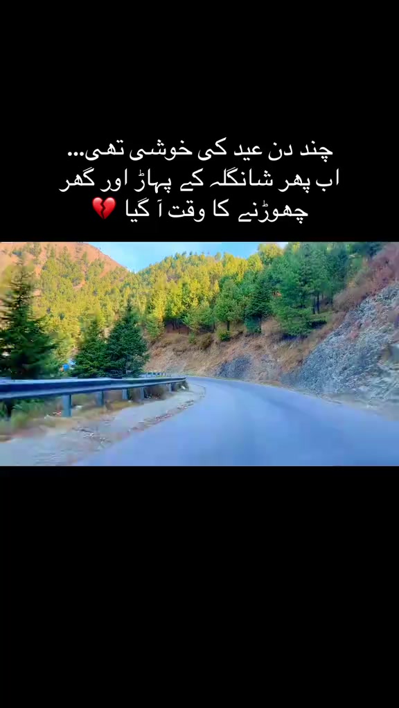 @zia udeen