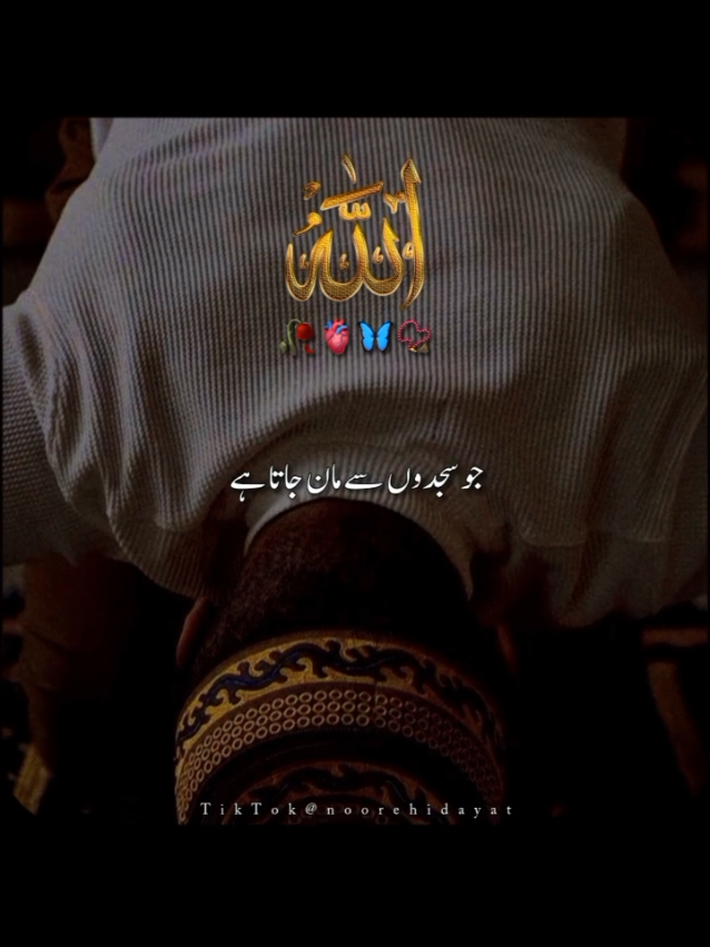 @Noor-e-Hidayat