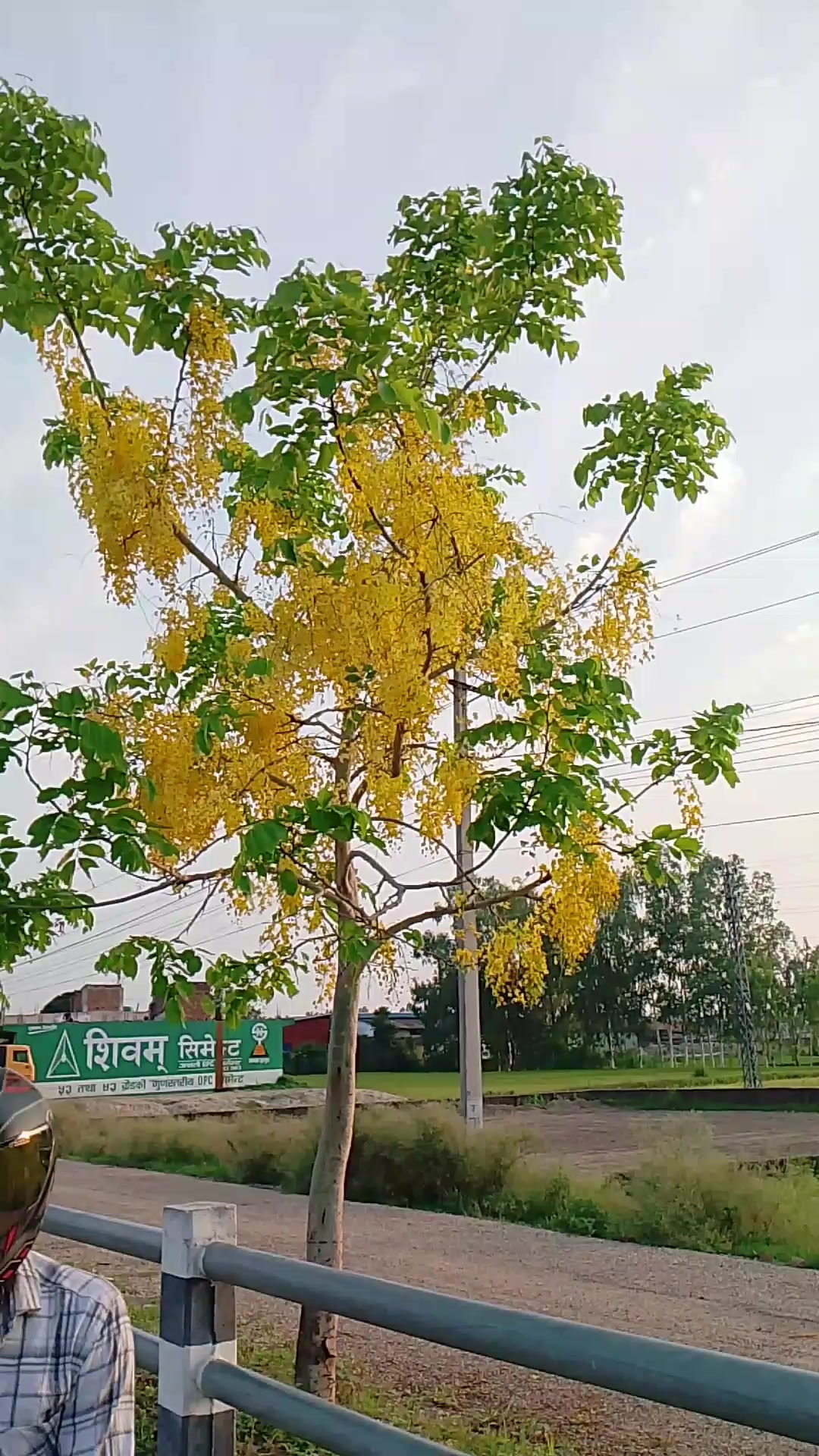 @Umesh_singh