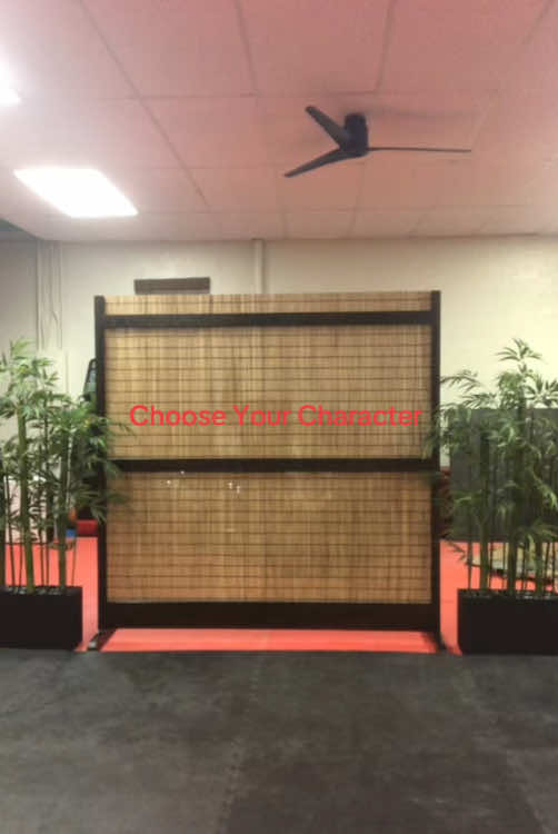 @linksmartialarts