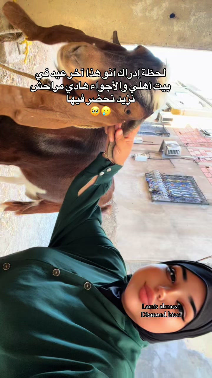 @♛ الُـمـاسـة🦢&❤️💍 ♛