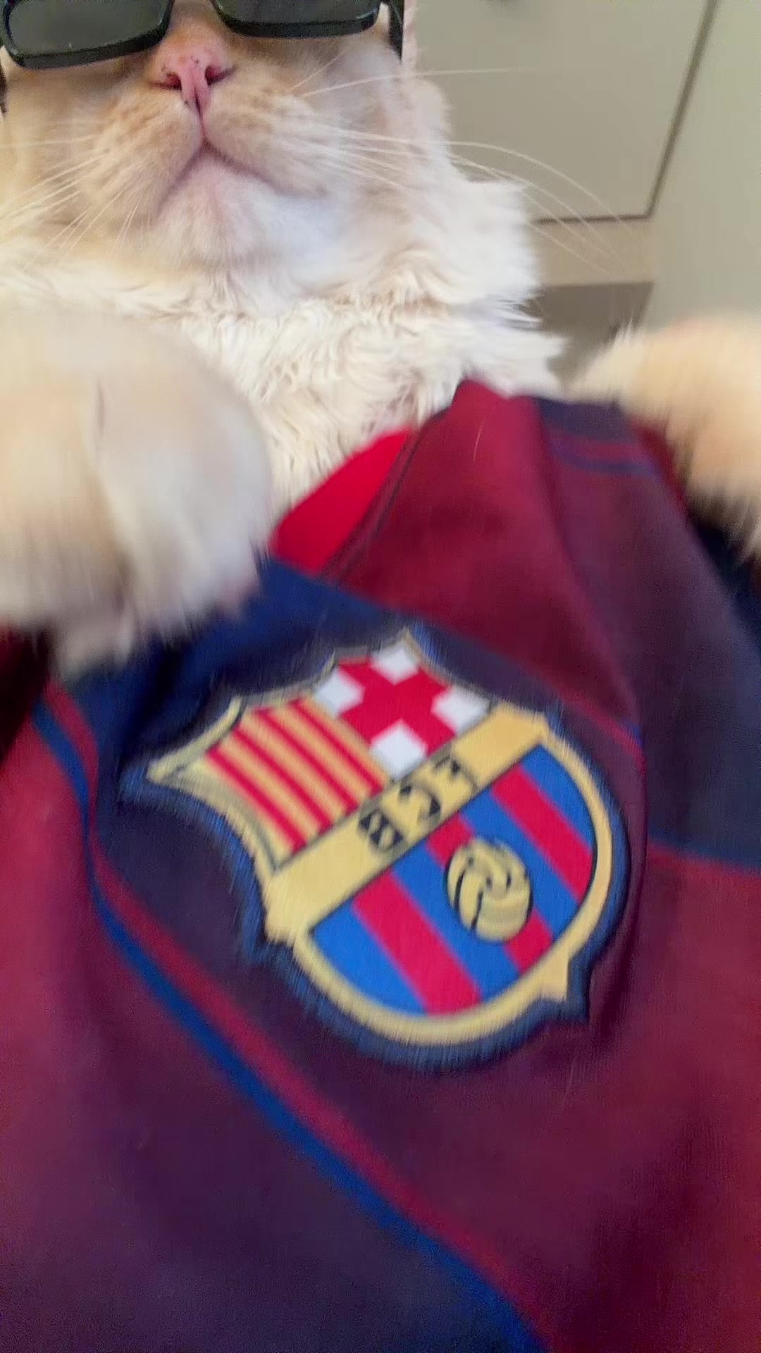 @Leônidas