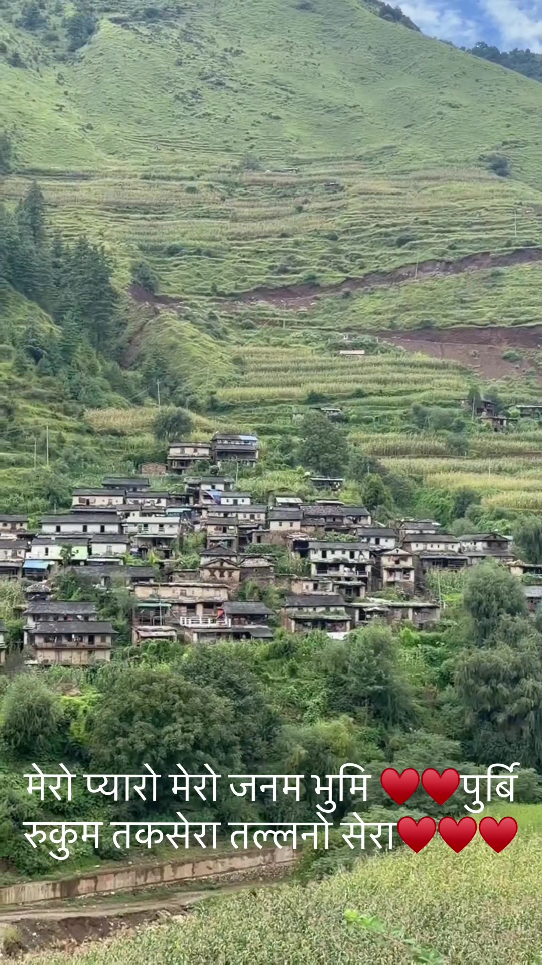 @magarni 🦋 12🇳🇵🦋🇺🇸🇺🇸