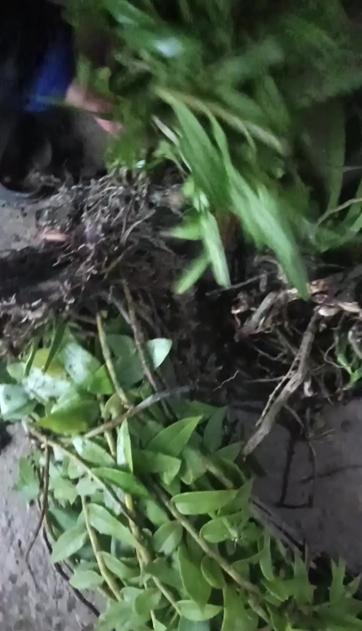 @Nguyễn Thị Hải Yến