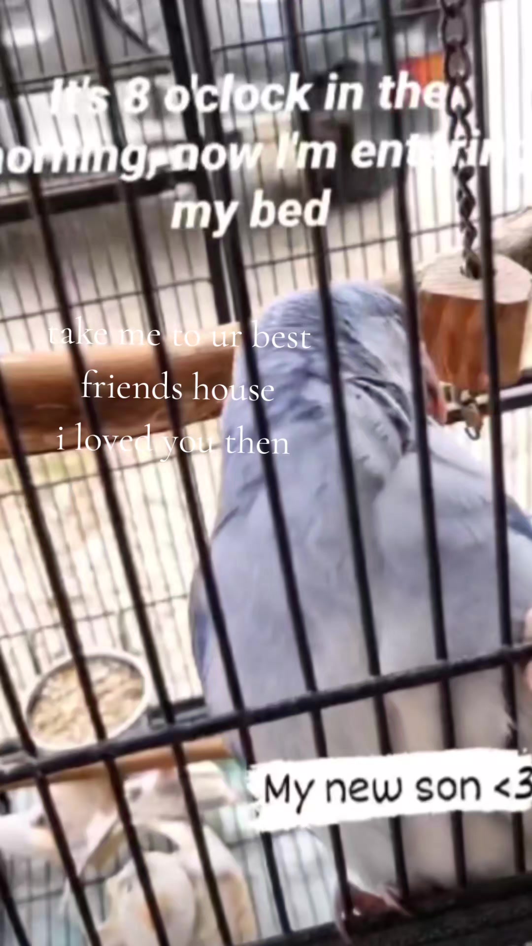 @Arliah