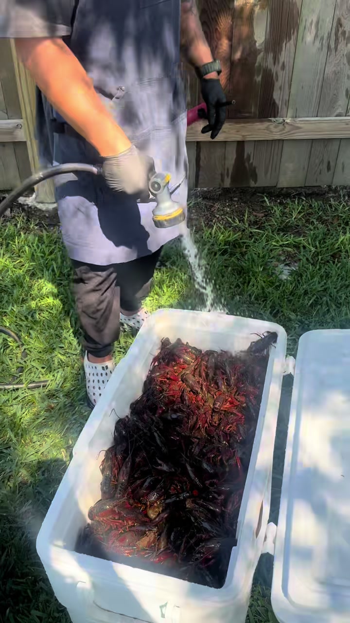 @cajuncrackcrawfish