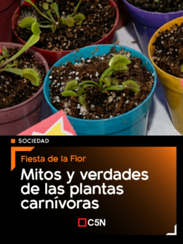 @c5n