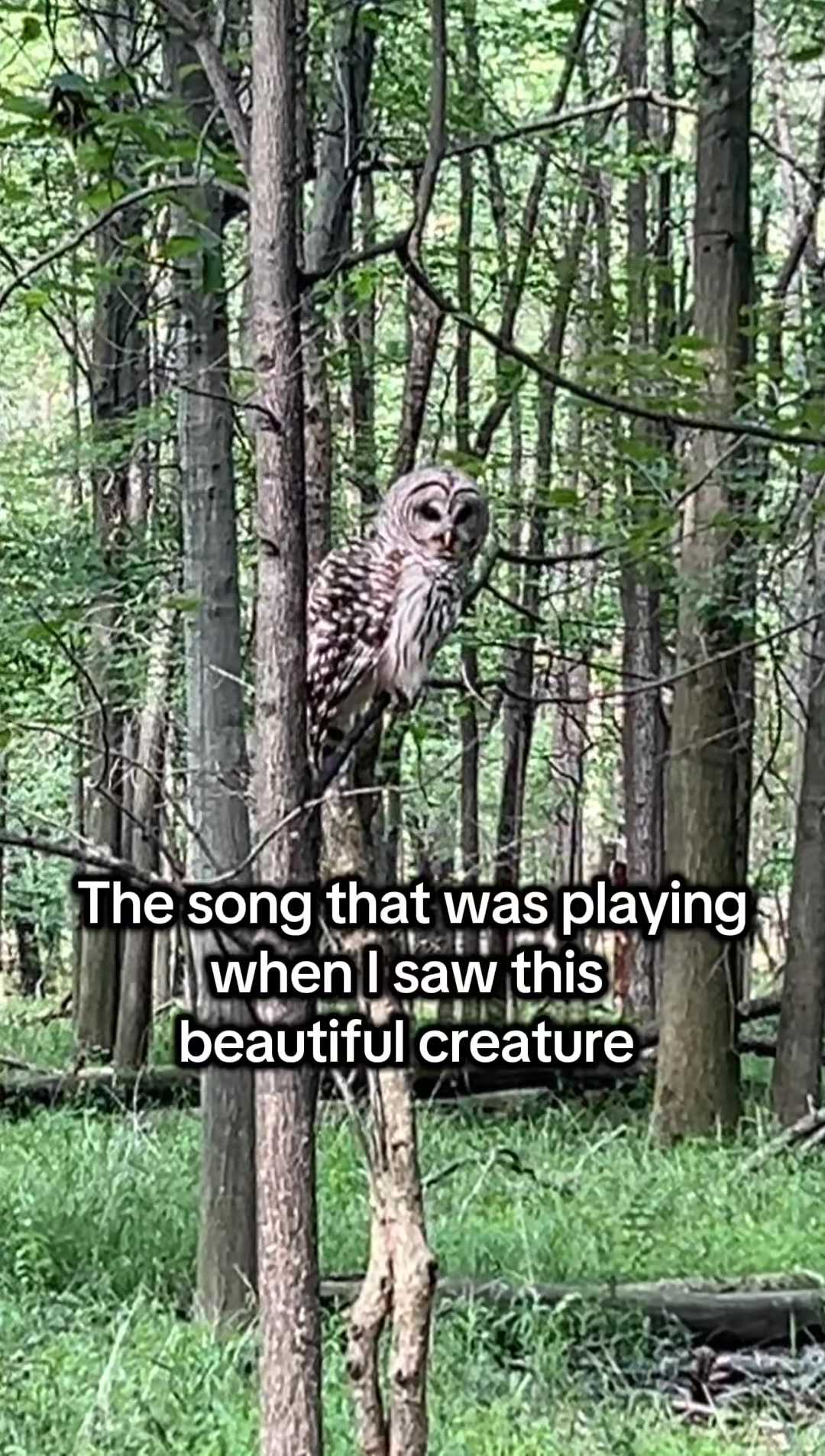 @Meghan Michaels