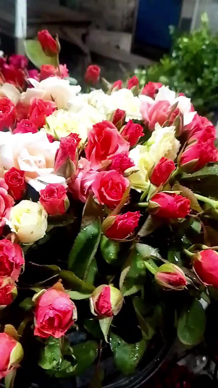 @Adil