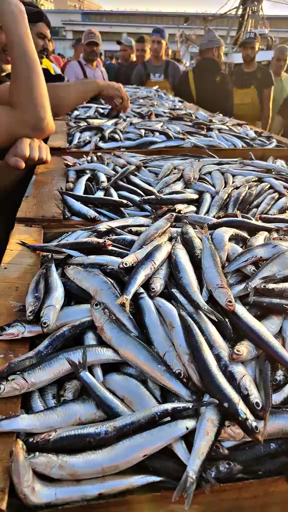 @Fouad pêcheur