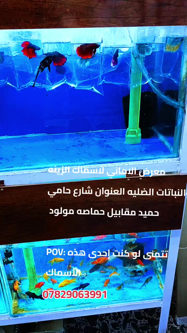 @كماليات هاشتاك