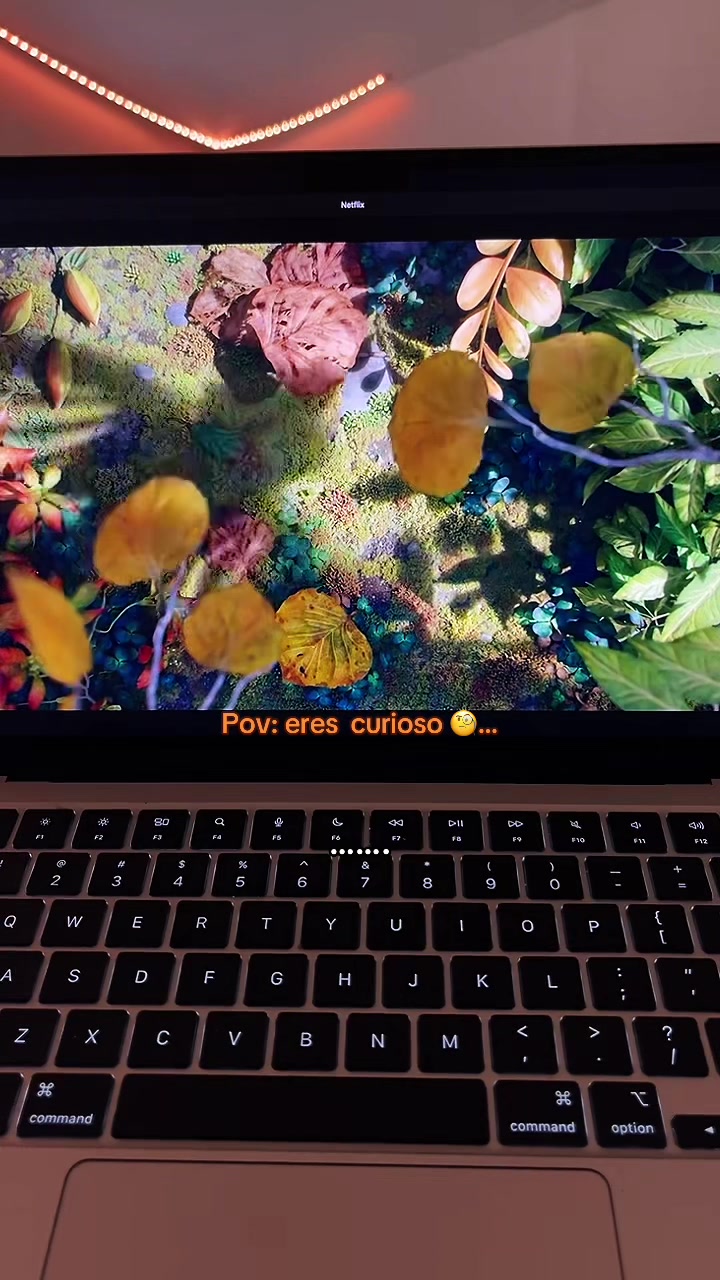 @donivanvelasquez5