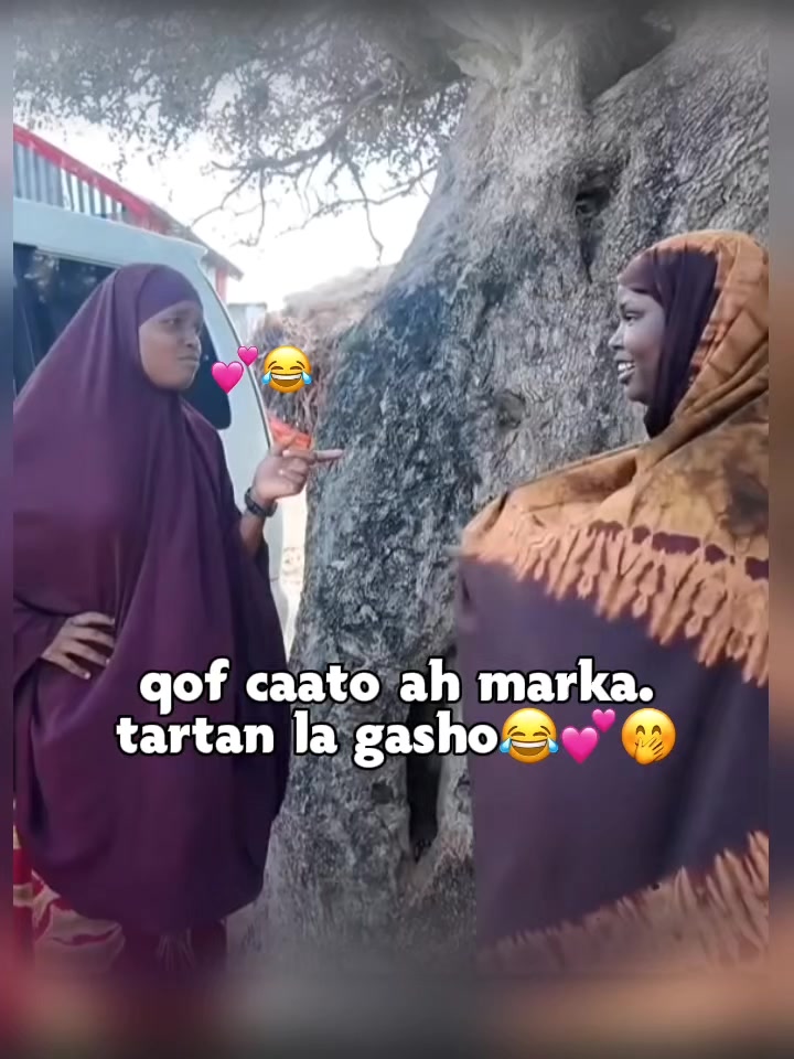 @♡Xafza 🦢