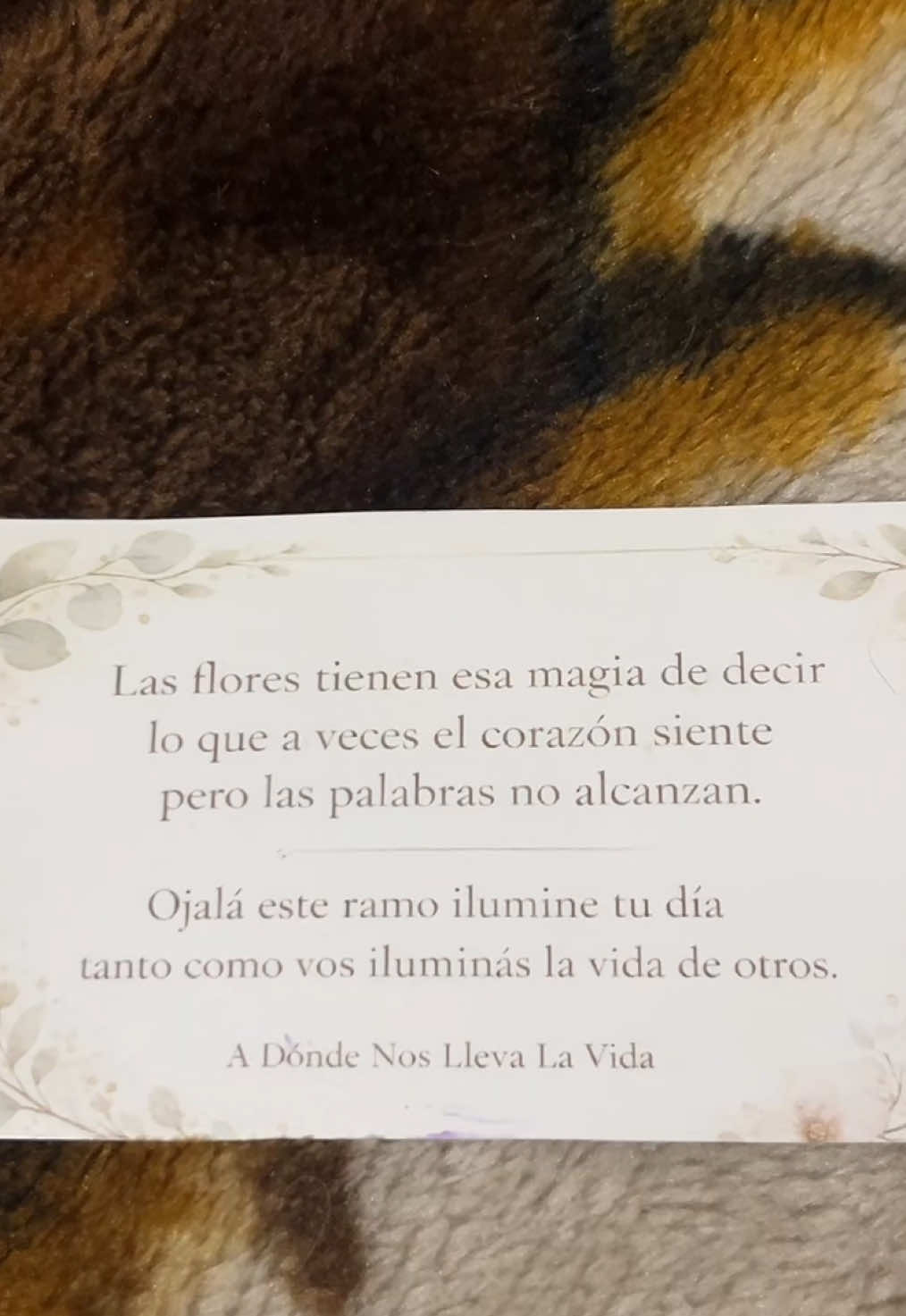 @tomas corleto