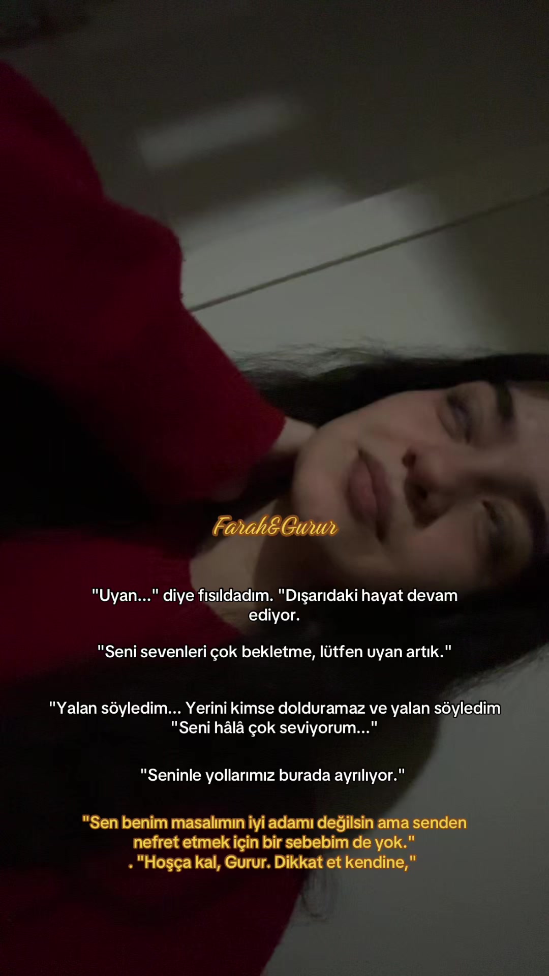 @didobooktook