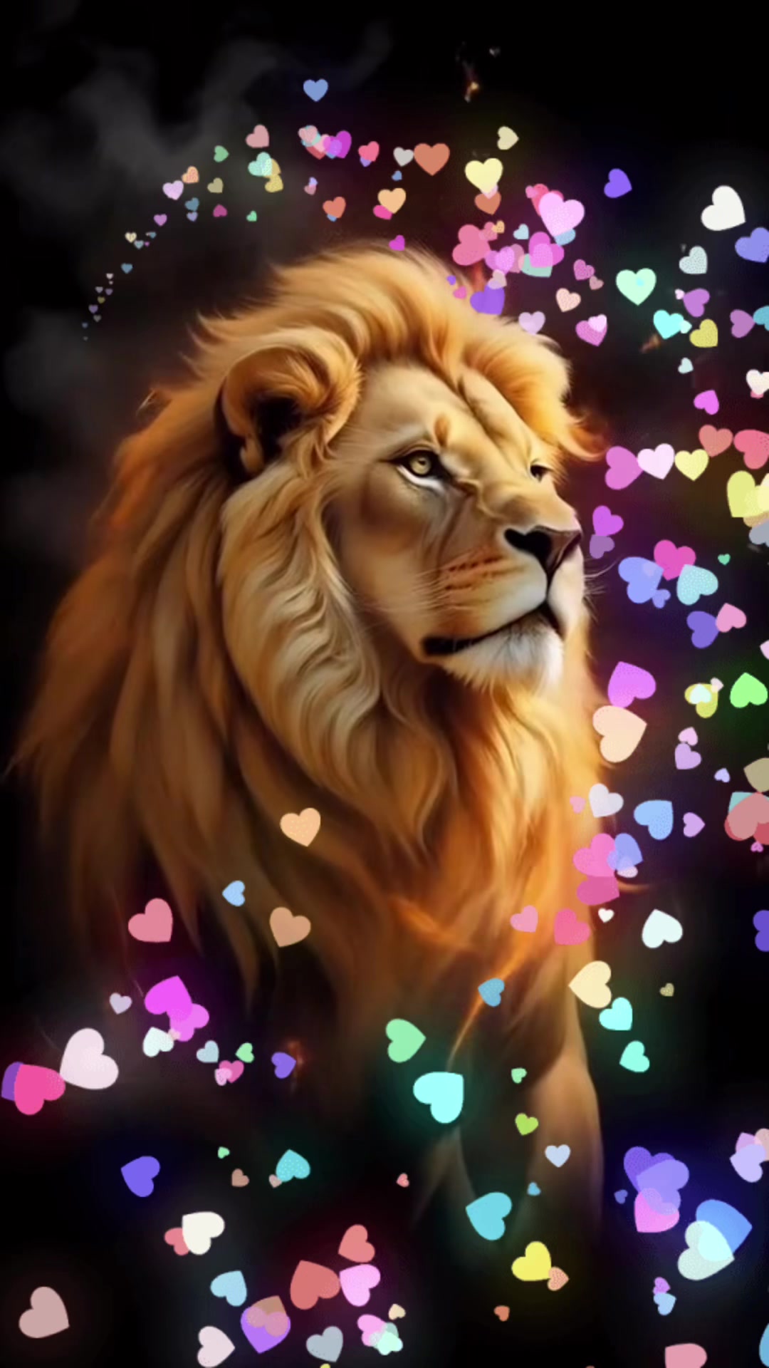 @🌻🌻🌻Iamwhoiam.TDS🌻🌻🌻