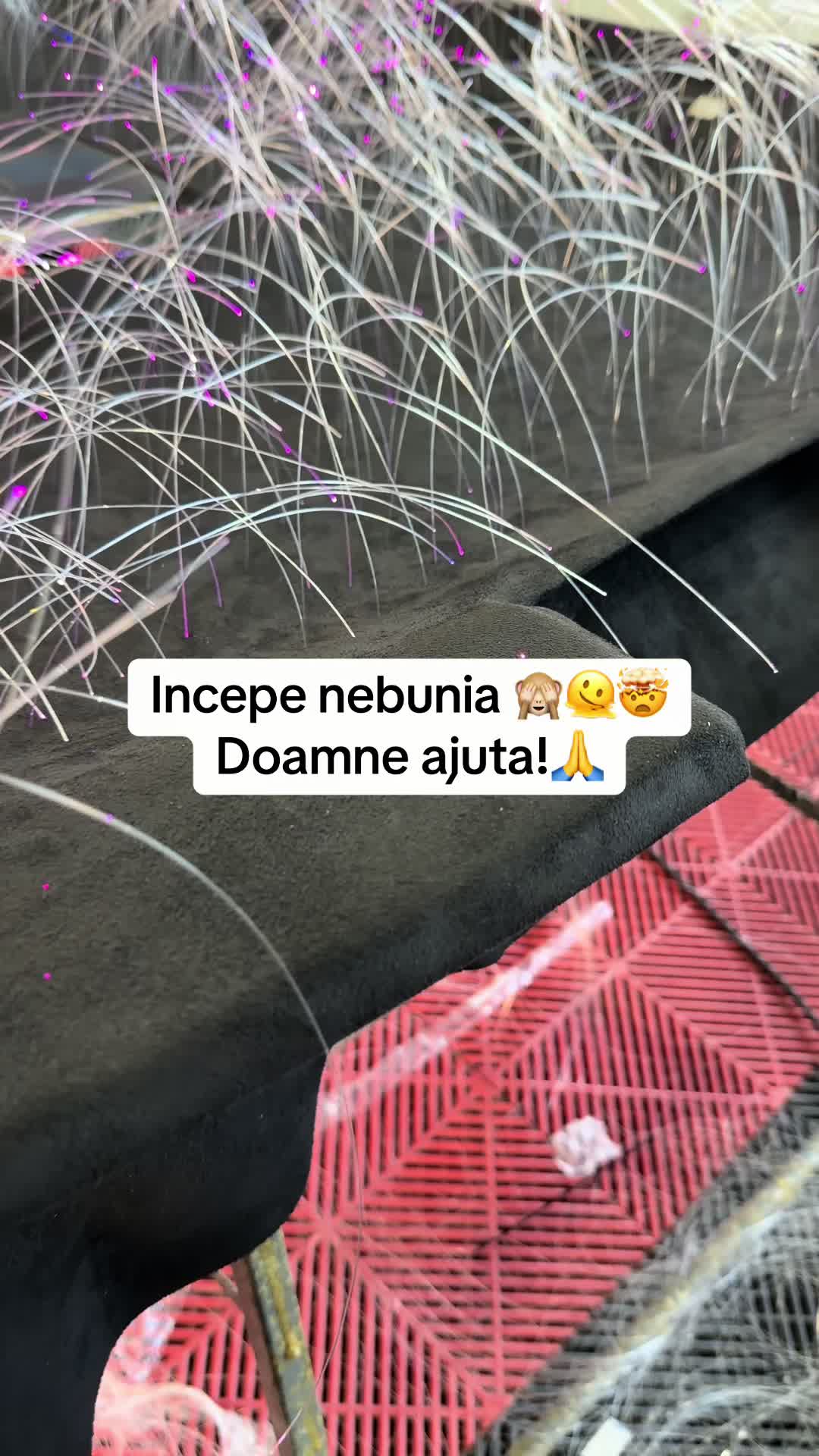 @CRXDetailing