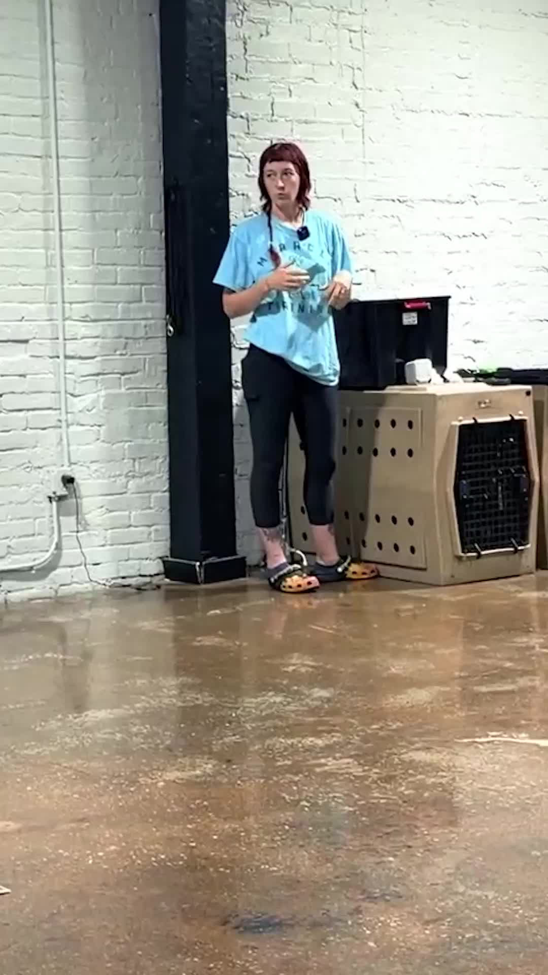 @Miracle K9 Training