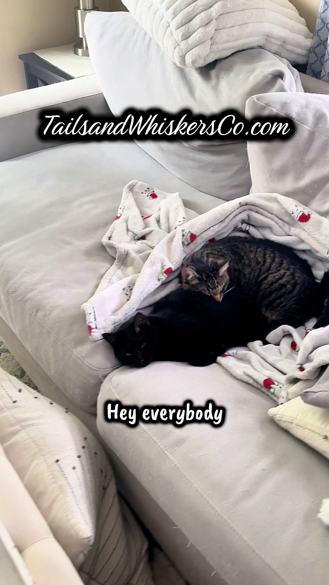 @TailsandWhiskersCo