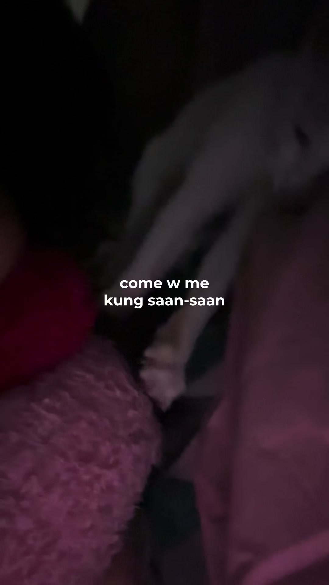 @catreng