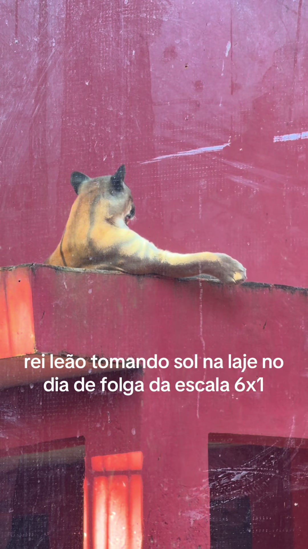 @Maria Guimarães