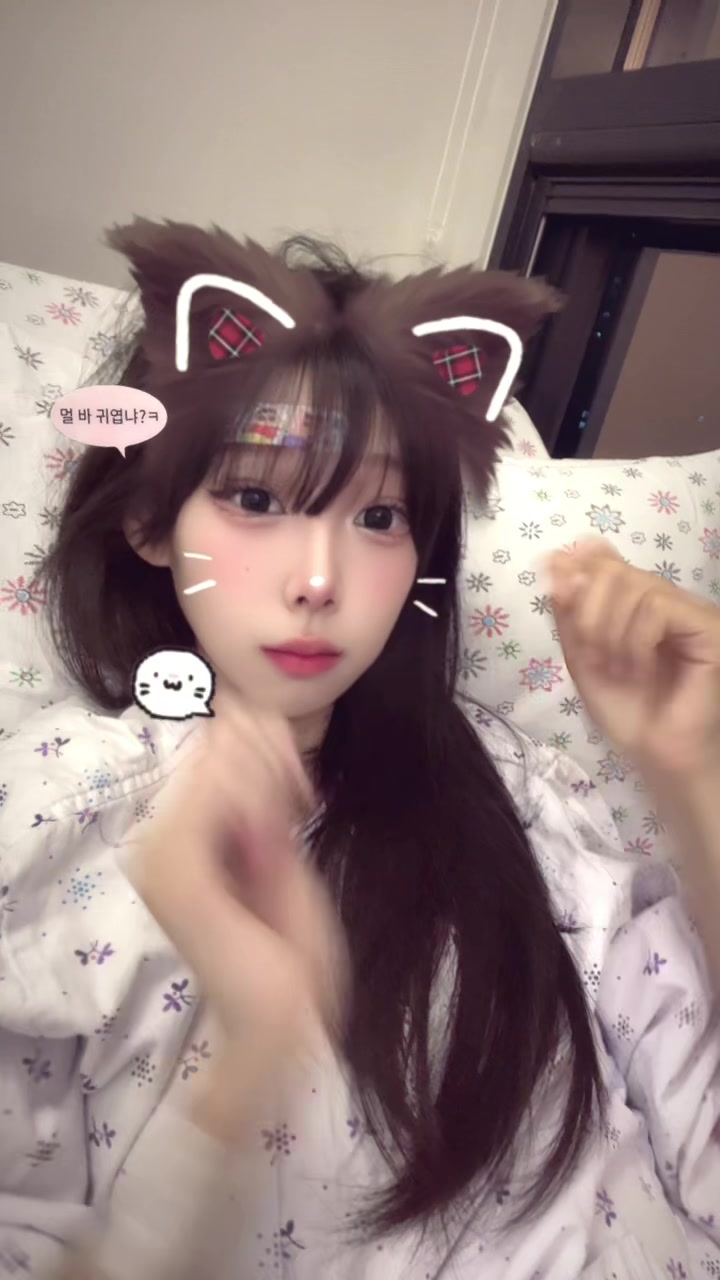 @☠️고양이집착녀☠️