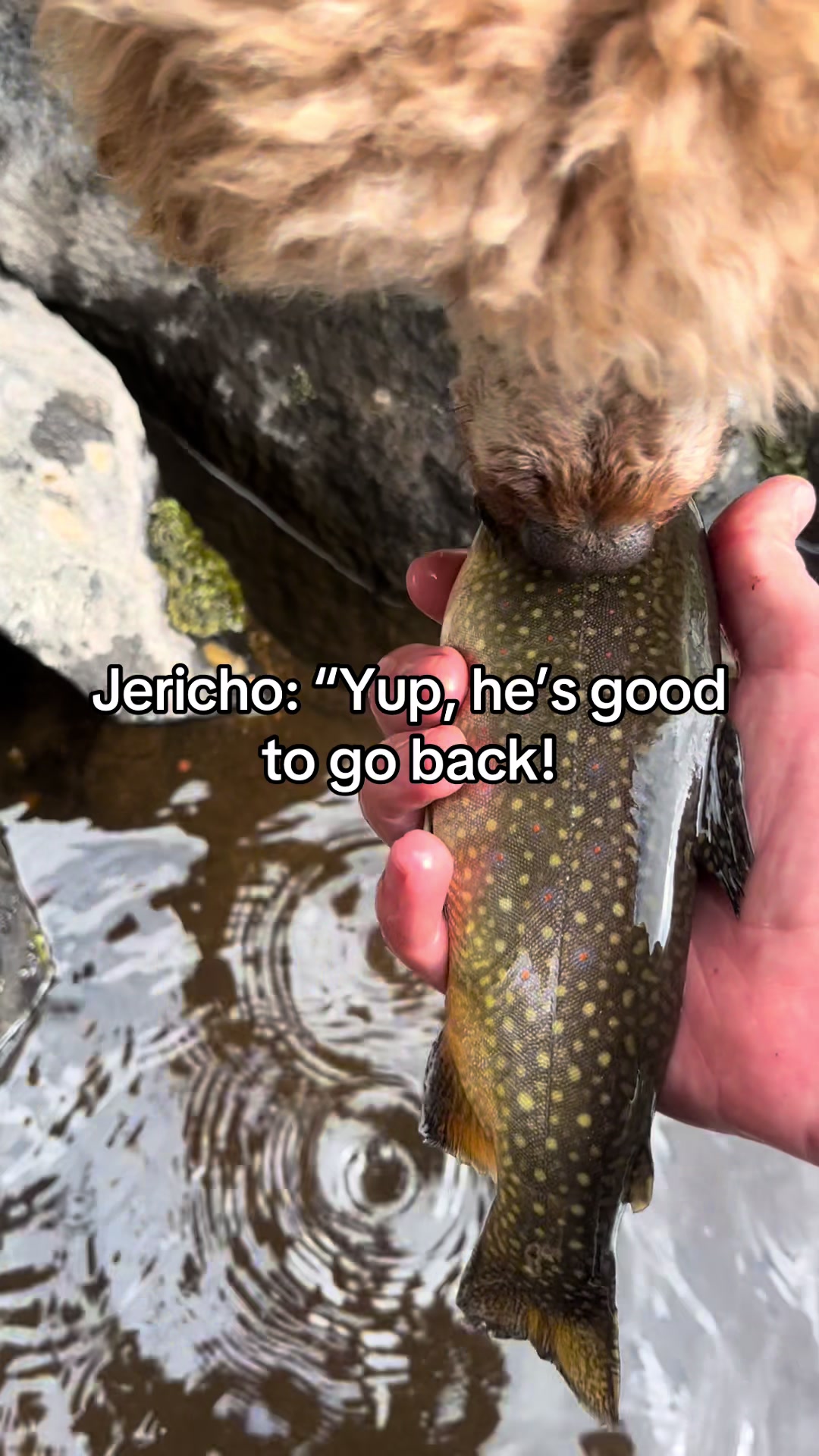 @lucky.hat.fly.fishing