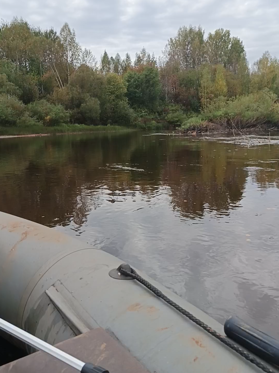 @Александр