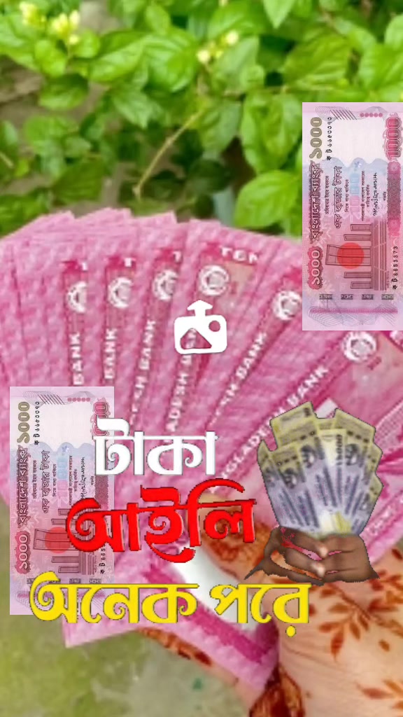 @user8123701182915. jan pakhi