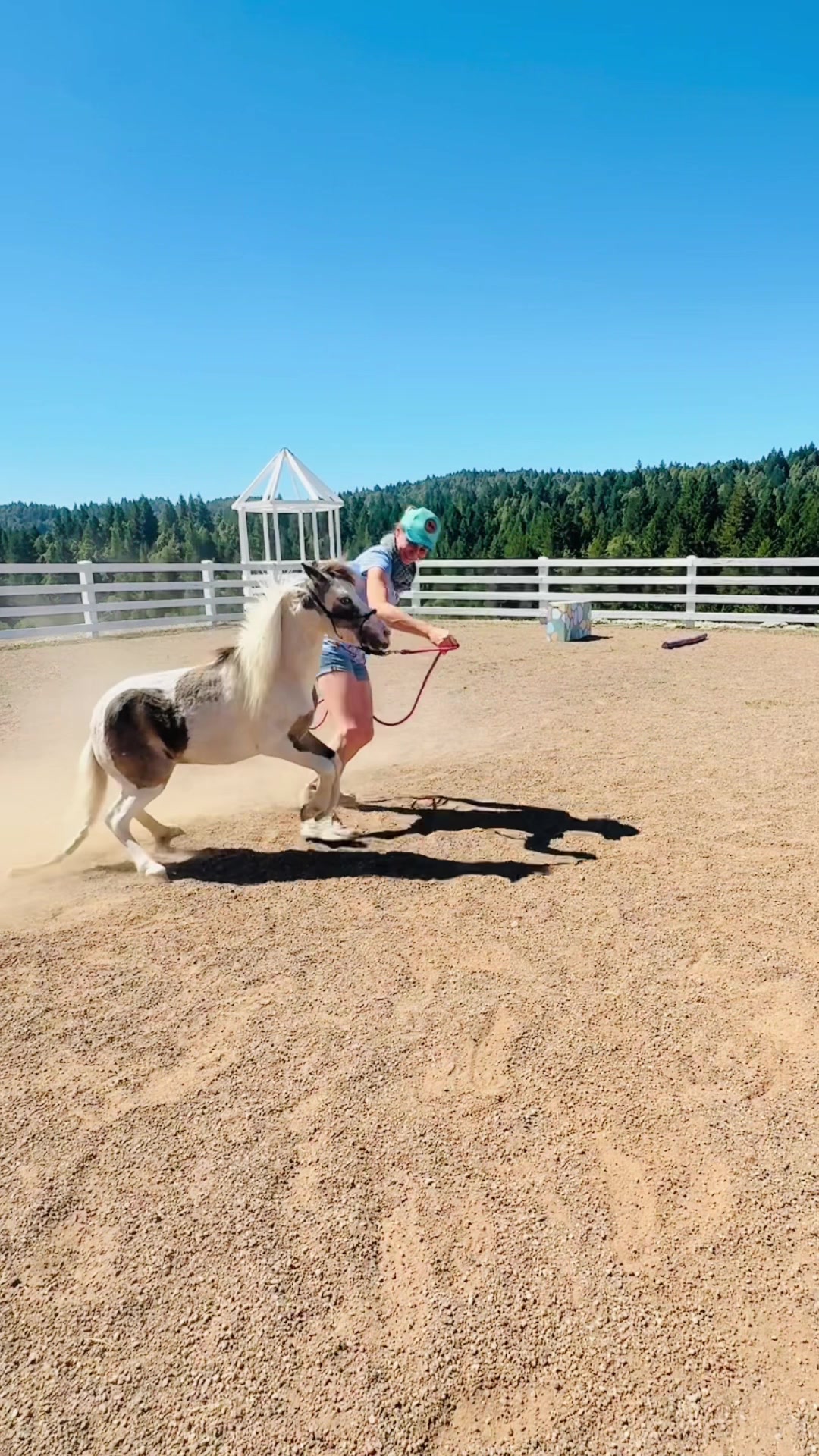 @Star Point Horsemanship