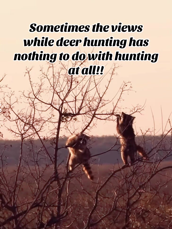 @🦌 Megabucks Outdoors 🦌