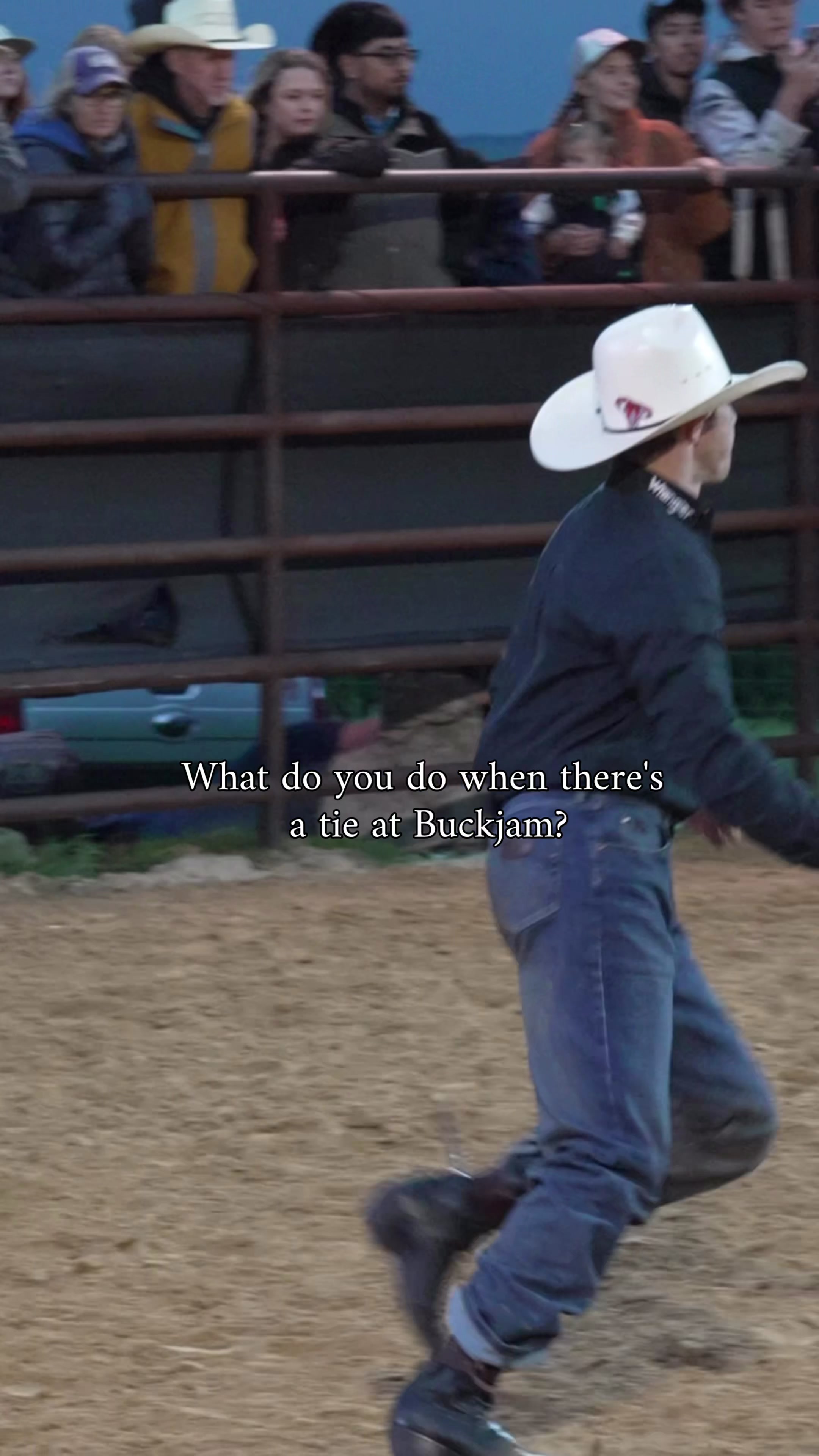 @Talk Rodeo To Me