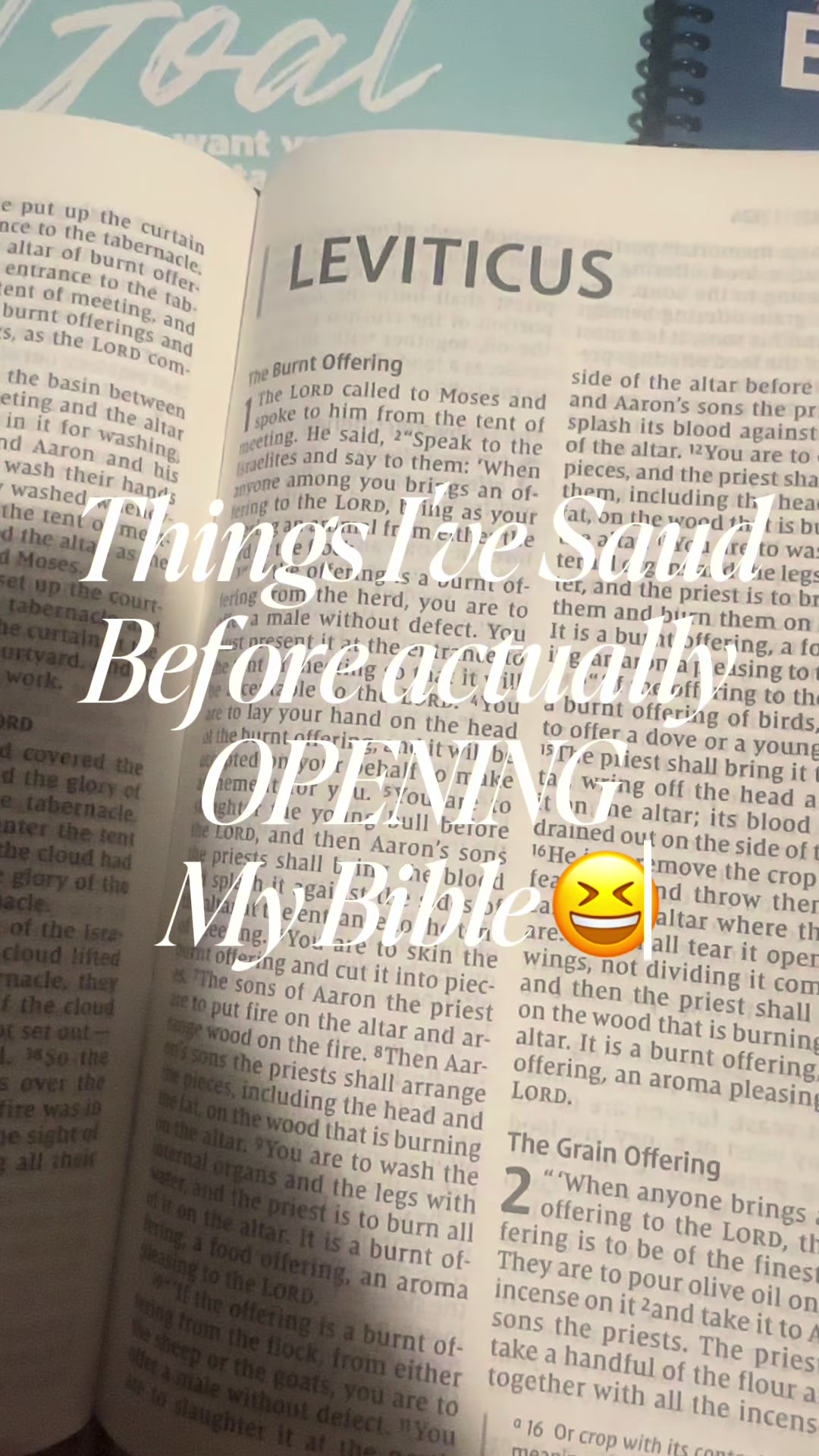 @Brii the Bible Baddie