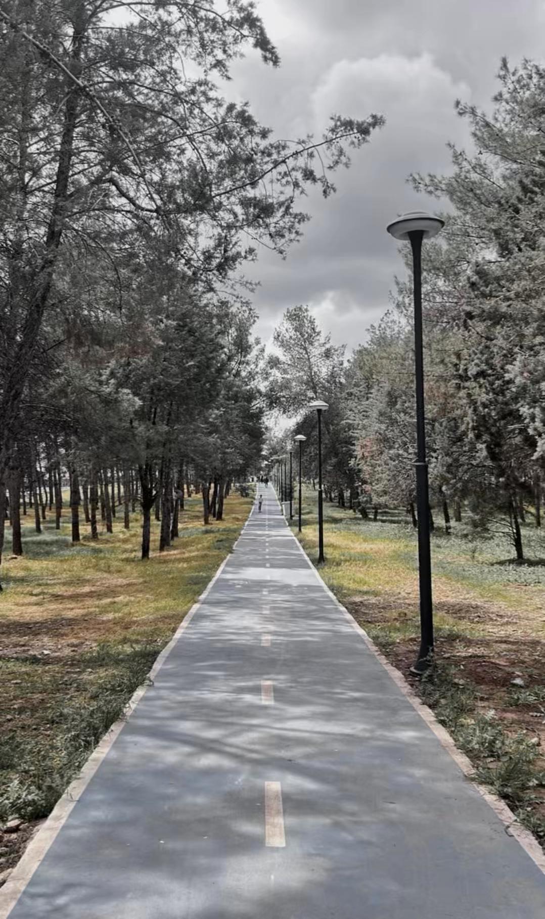 @🇹🇷 MaRaŞLI🐺