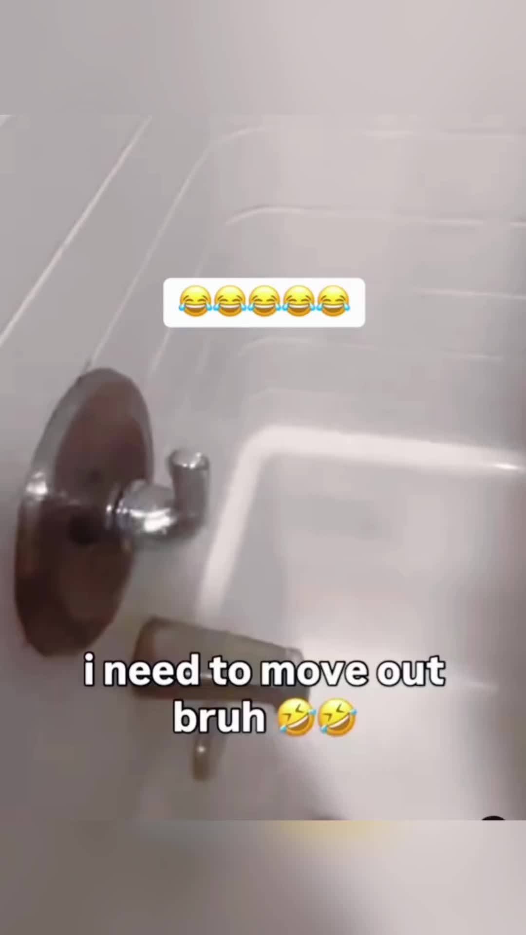 @petfunnytime6368