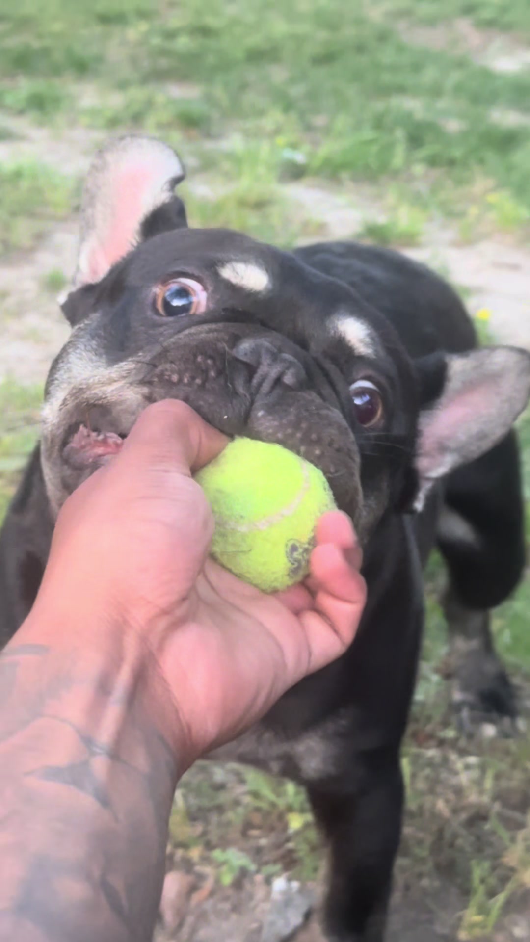 @Alejandro