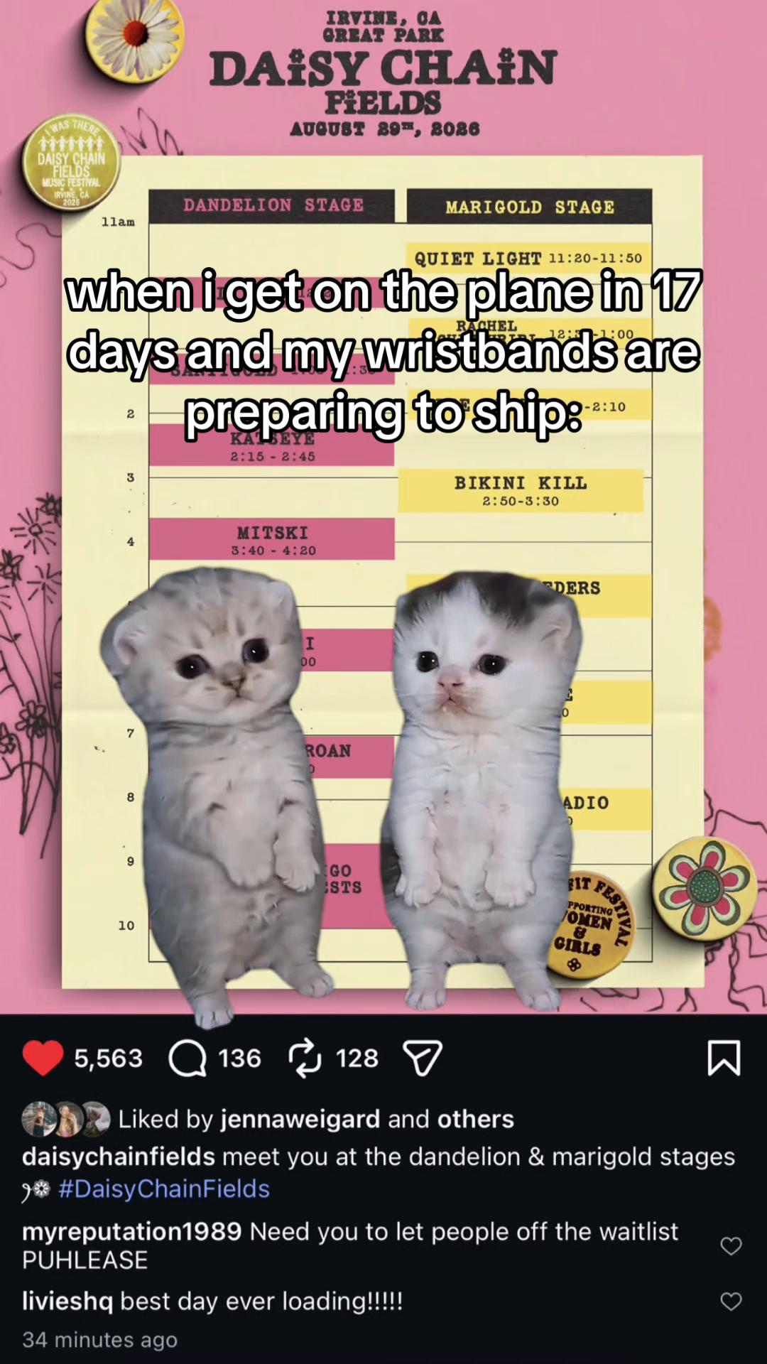 @Swiftly, Brieanne 🐍