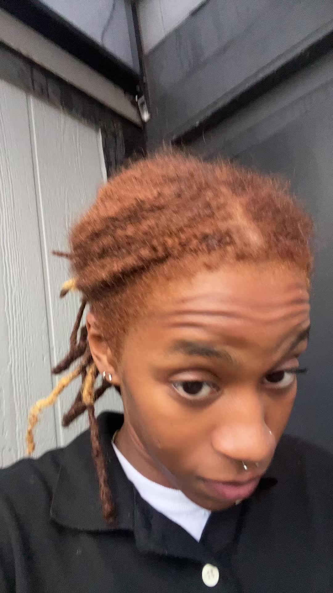 @🦈
