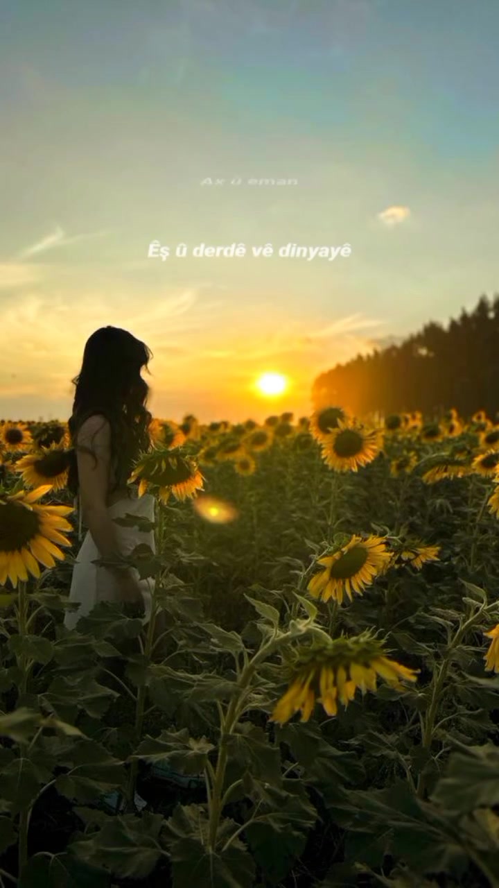 @yaroke_🥰