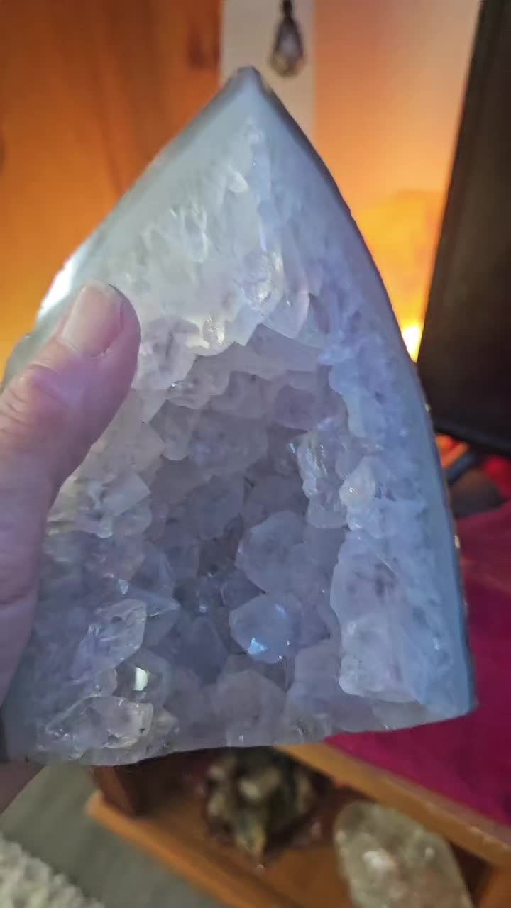 @Whiskers🐱Wisdom&Diamonds777❌️
