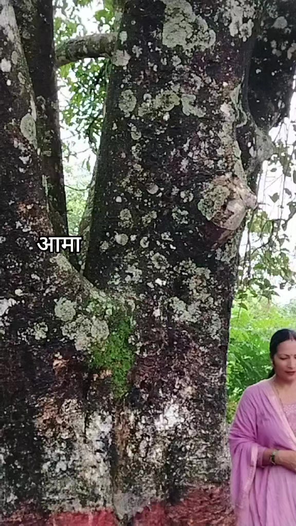 @sabitra dhungana