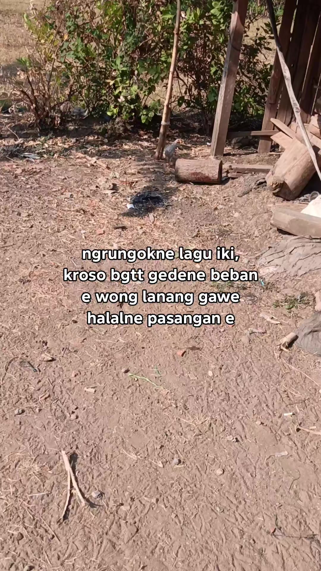 @ꪑꪖ᭙ꪖꪀ⚡