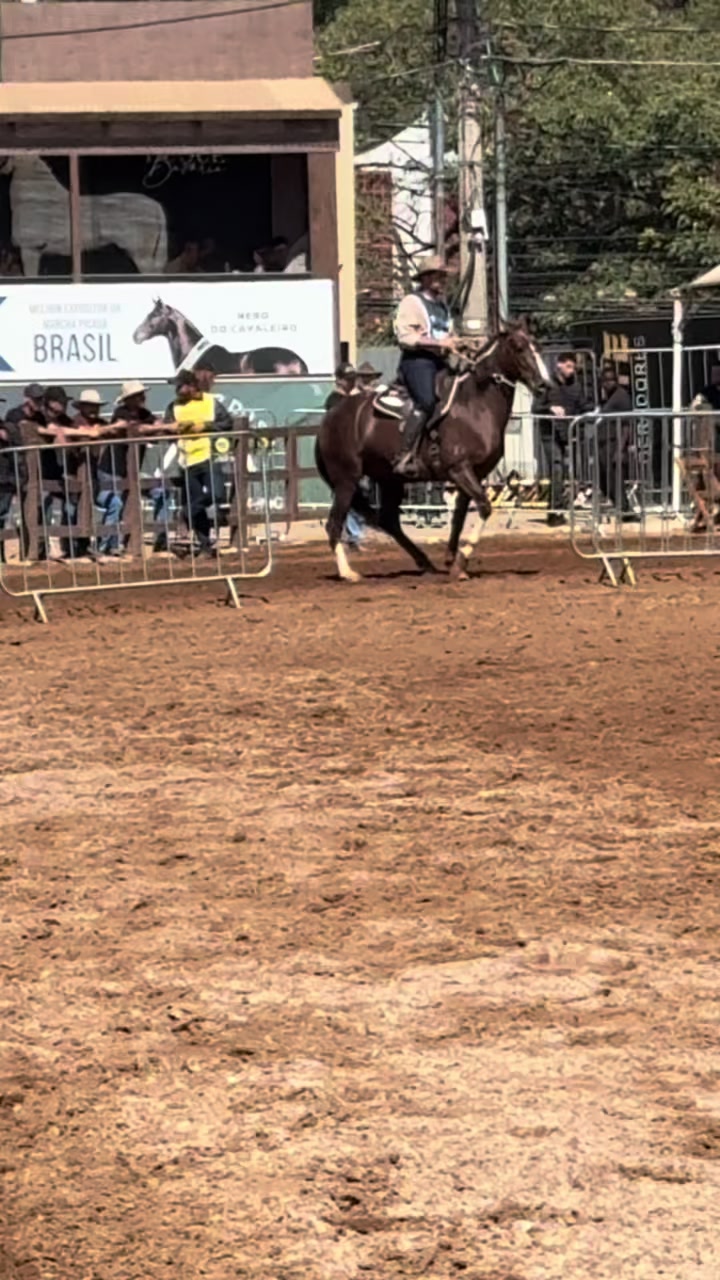 @Haras Recanto do Saraquino