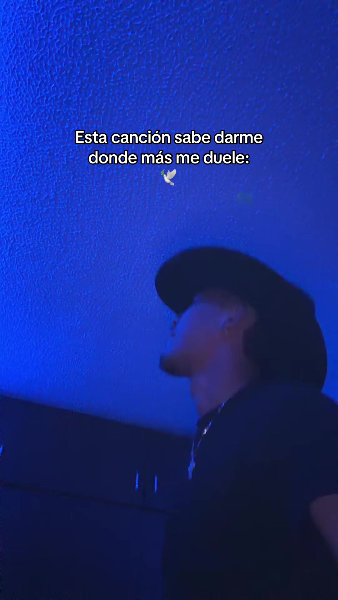 @elfonse_kr