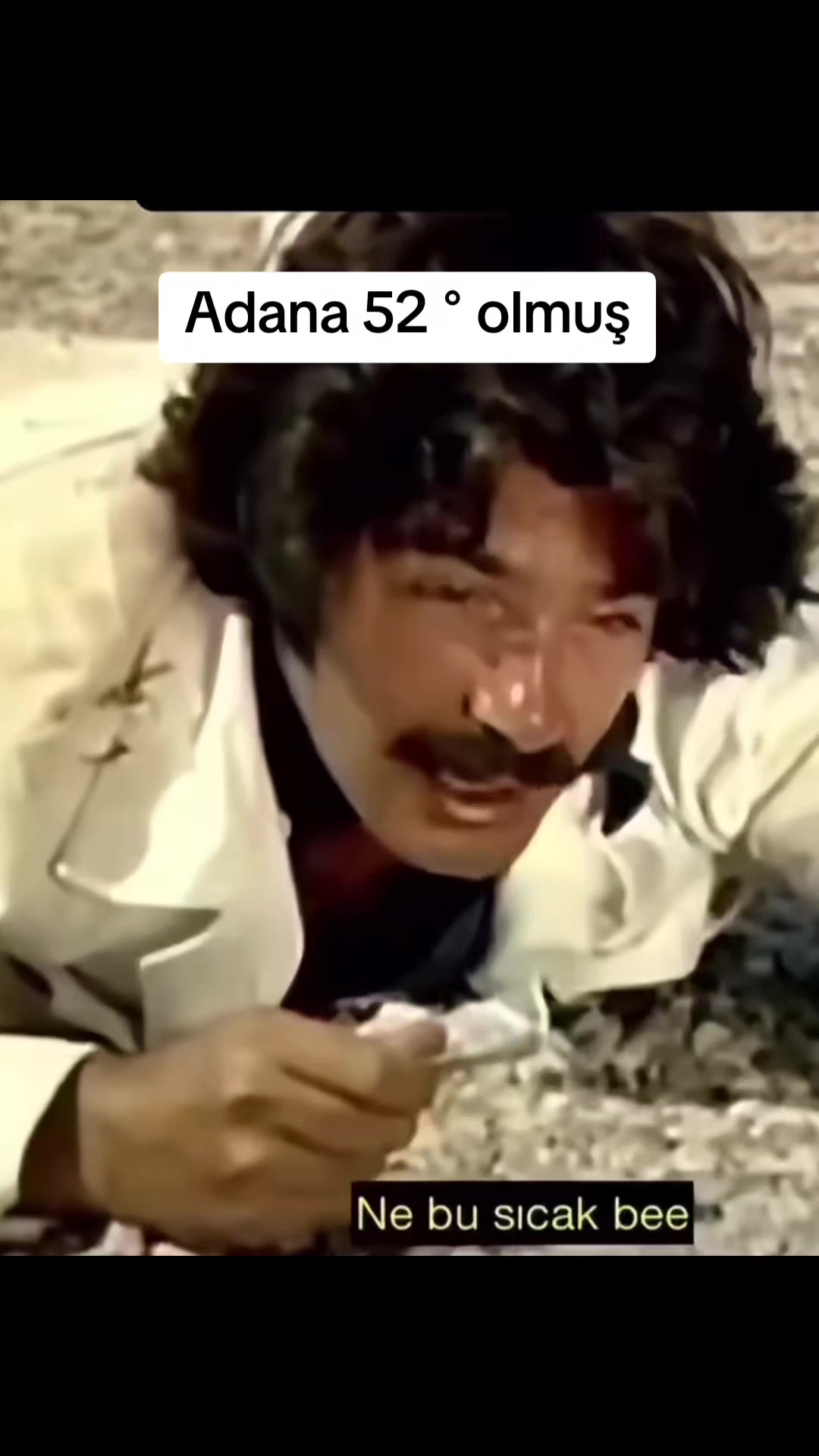 @Feryal Narven