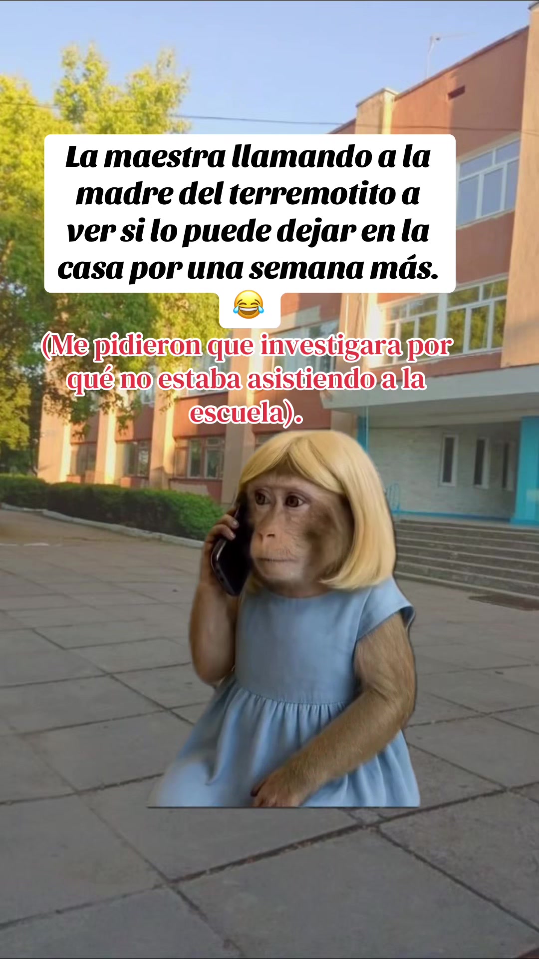 @profe_rizada