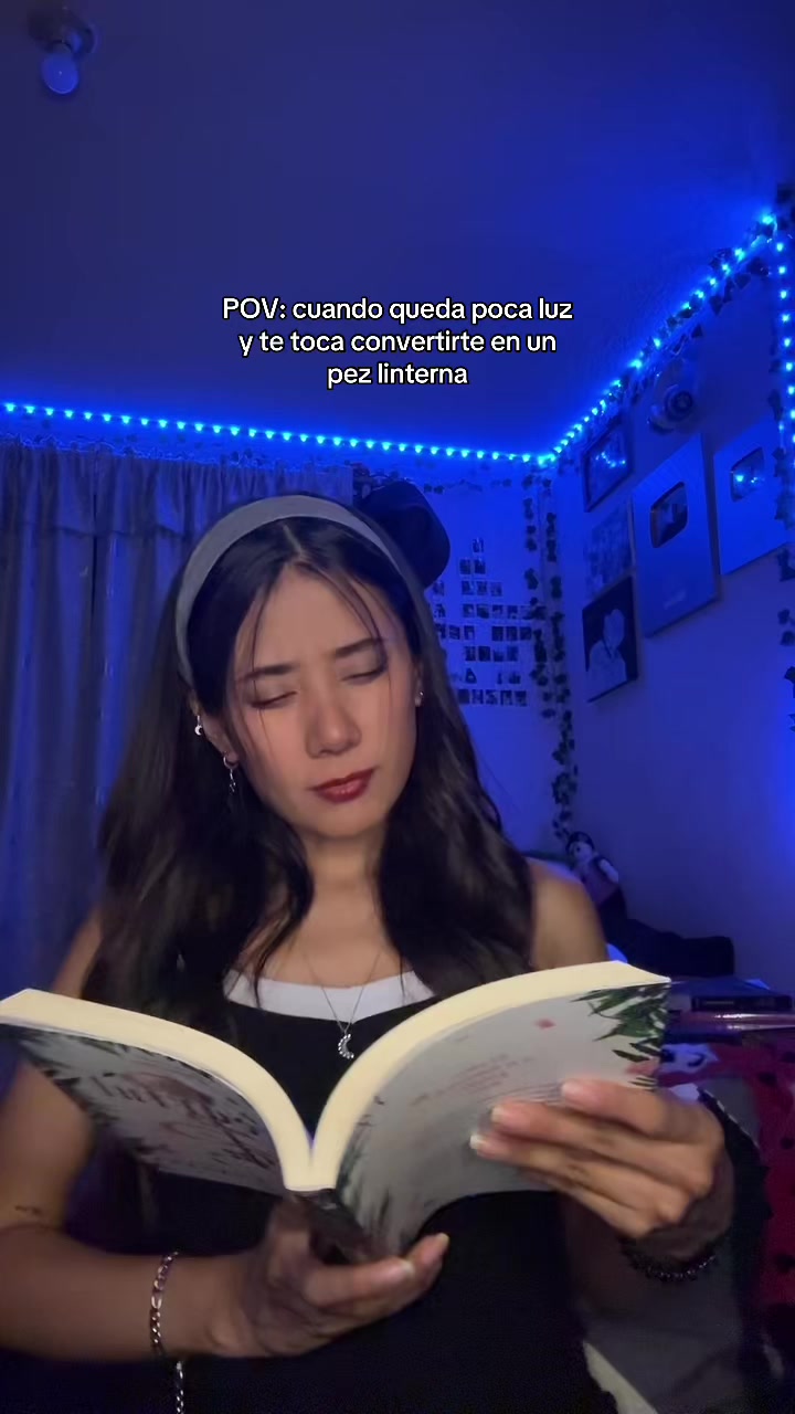 @fefsbookss