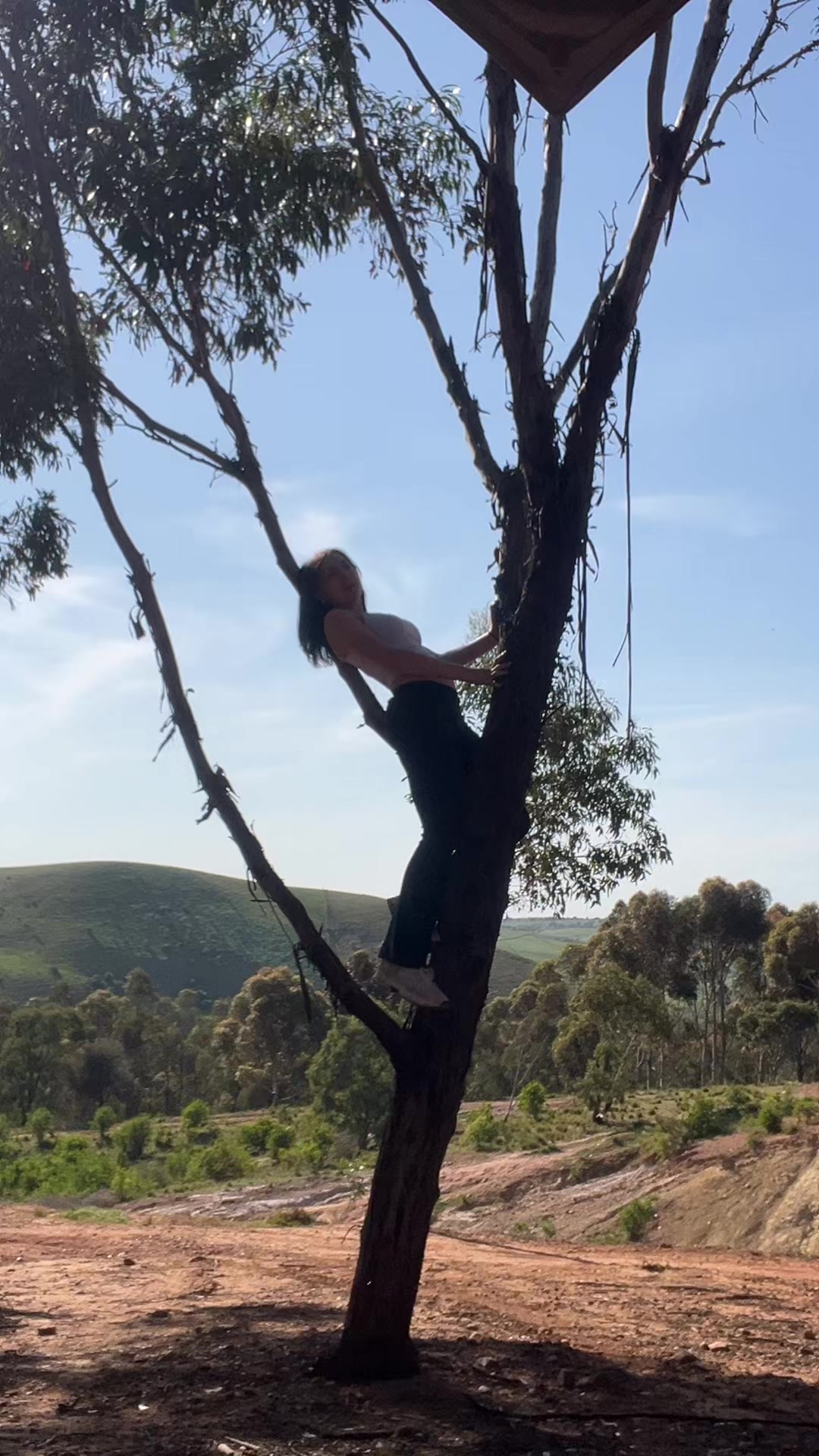 @hayleyexclusives