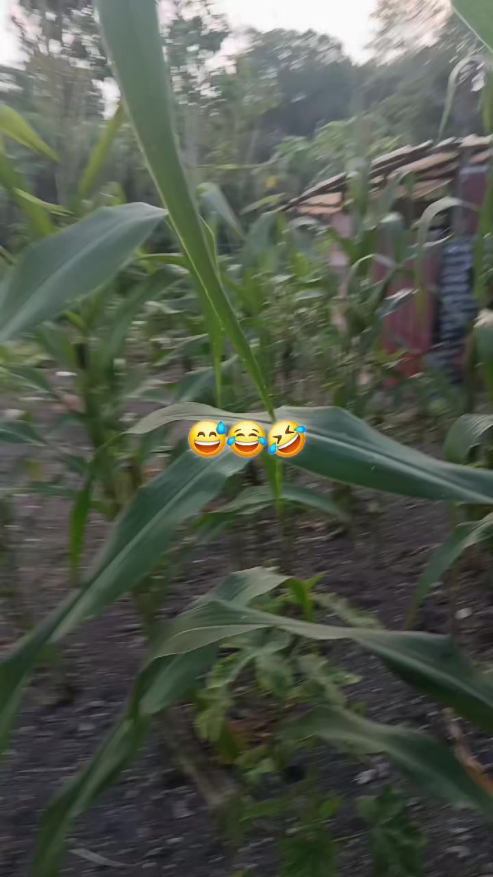 @M1K3‼️